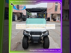 48V AC Motor Electric Utility Golf Cart 2 người xe hành lý điện với hộp hàng hóa cho khách sạn