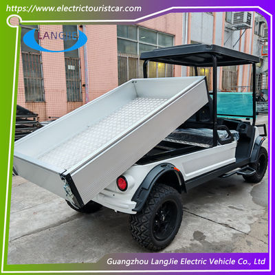 2 chỗ ngồi 48V ắc quy Xe khách có xe chở hàng