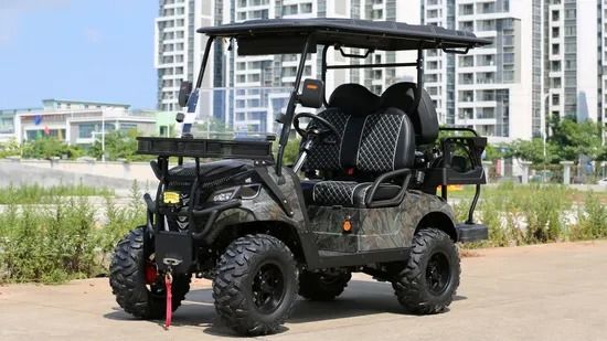 Giá tốt. Xe golf điện với bánh xe 14 inch, khung gầm Q235, màn hình 10 inch lái xe thoải mái online